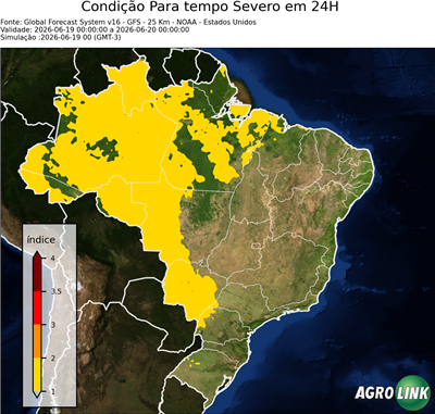 24 horas