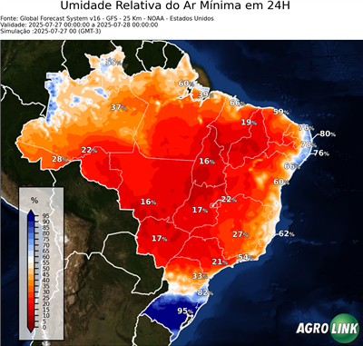 24 horas