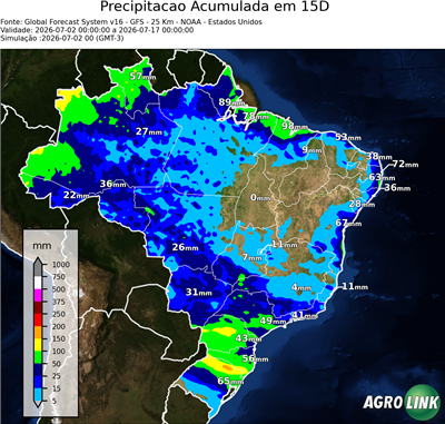 15 dias
