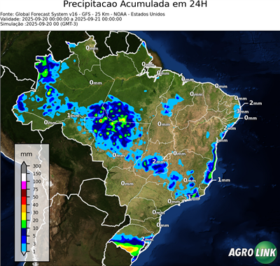 24 horas