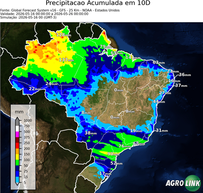 10 dias