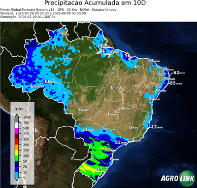 10 dias