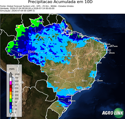 10 dias