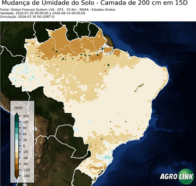 15 dias