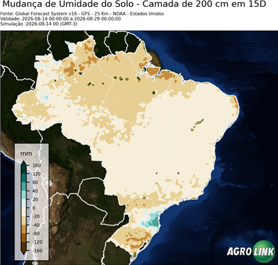 15 dias
