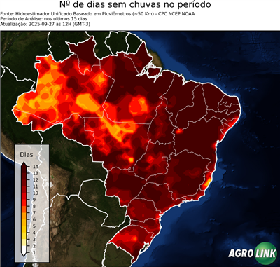 15 dias