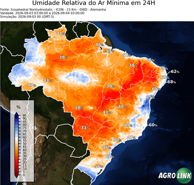 24 horas