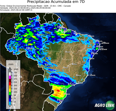 7 dias