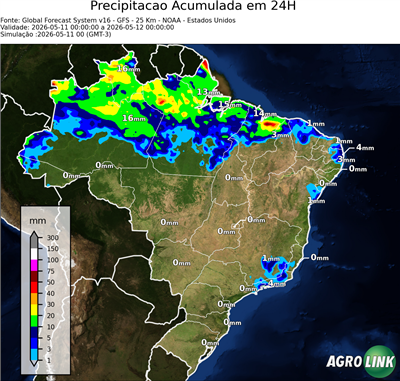 24 horas