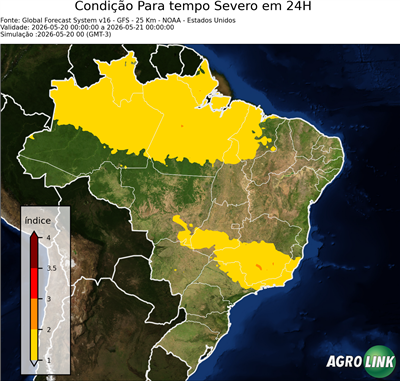 24 horas