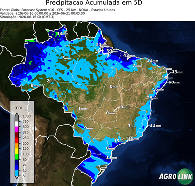 5 dias