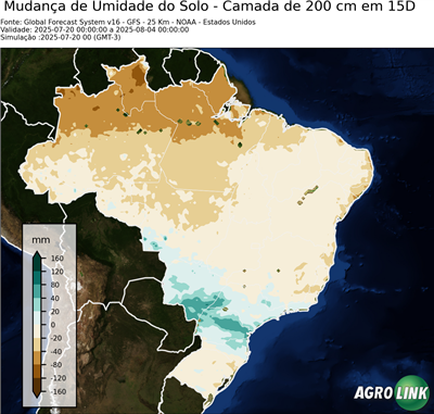 15 dias