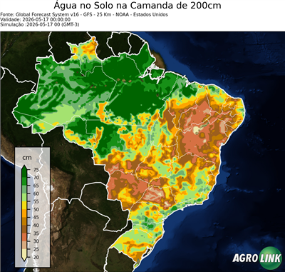 24 horas