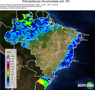 7 dias