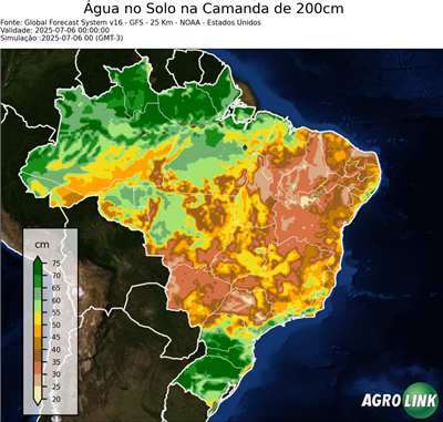 24 horas