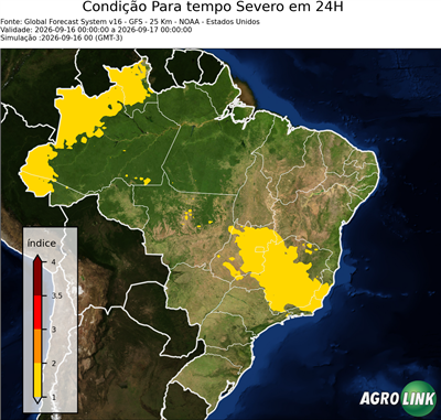 24 horas