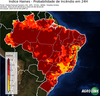 24 horas