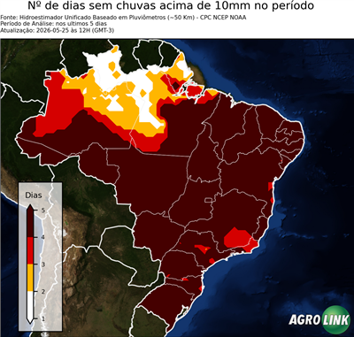 5 dias