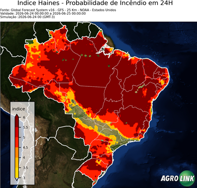 24 horas