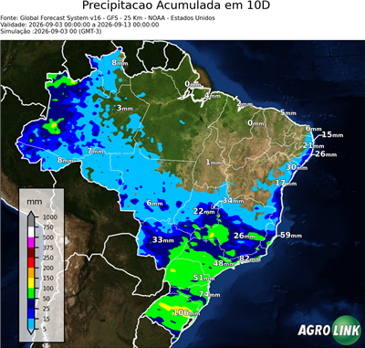 10 dias