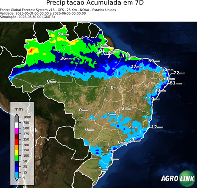 7 dias
