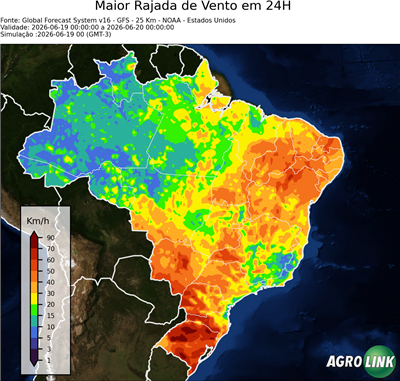24 horas