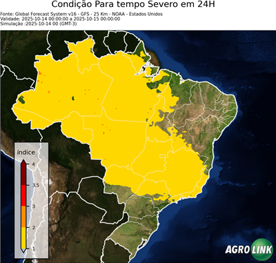 24 horas