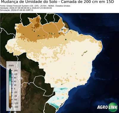 15 dias