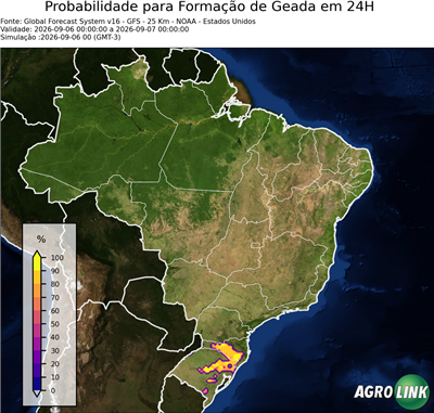 24 horas