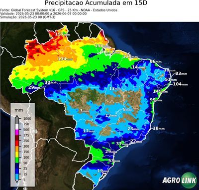 15 dias