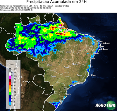 24 horas