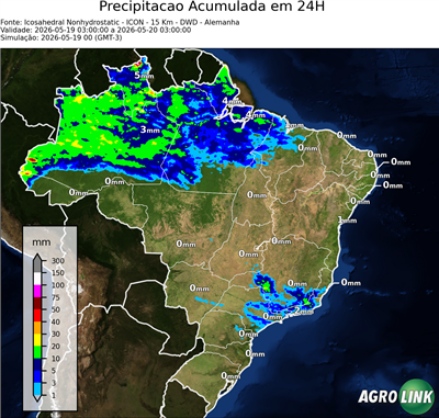 24 horas