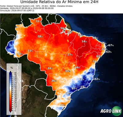 24 horas