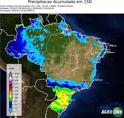 15 dias