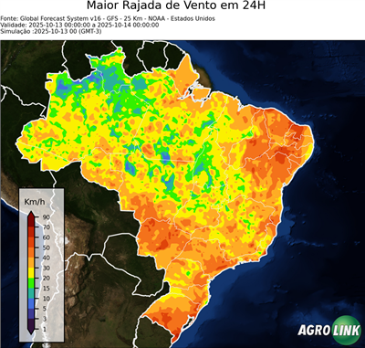 24 horas