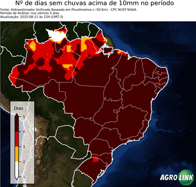 5 dias
