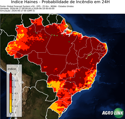 24 horas