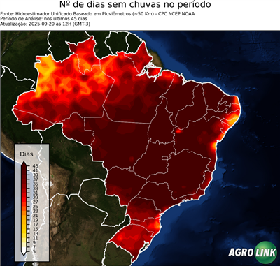 45 dias