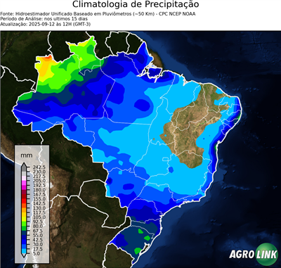 15 dias