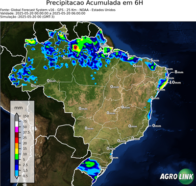 6 horas