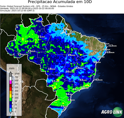 10 dias