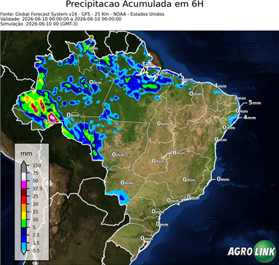 6 horas