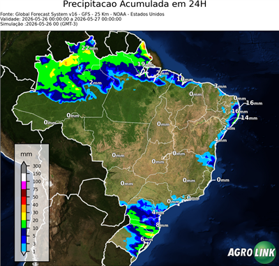 24 horas