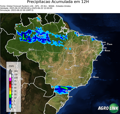 12 horas