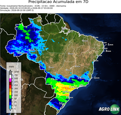 7 dias