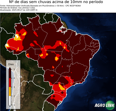 5 dias