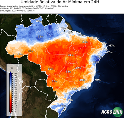 24 horas