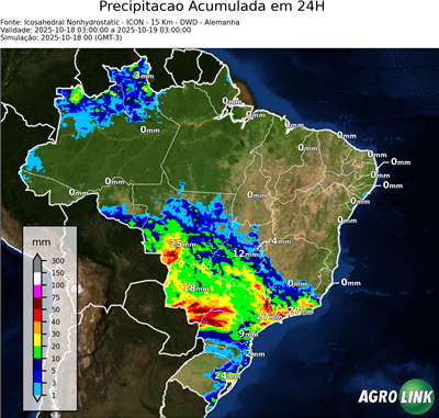 24 horas