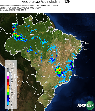 12 horas