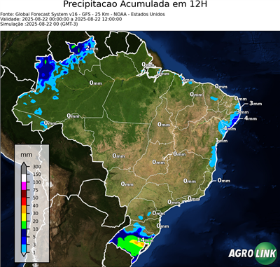 12 horas